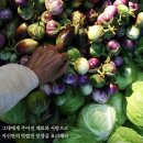 미투헤어샵 - 북구 서하로 139 | 미투헤어샵