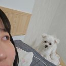 공임나라경산진량점 | 경산 진량 국가대표 민물장어구이 무한리필 다녀옴! 내돈내산 후기