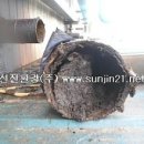선진바이오(주) 이미지