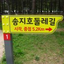 송지호 관망타워 이미지