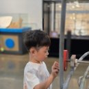 북서울꿈의숲(아트센터) | [서울 강북 아이랑 갈만한 곳] 북서울 꿈의 숲 아트센터 드림갤러리 in 롤링볼 뮤지엄