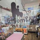 윤퍼피살롱 이미지