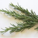 허브한의원 이미지