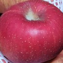 다정한 농장 이미지