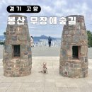 운수트레이드 | 서울 둘레길 추천 초보 코스 추천 애견동반 봉산 무장애숲길 전망대까지