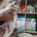 진보동물병원 이미지