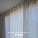 양양별채268 네이버블로그
