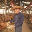 한우30년농장2 이미지