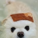 메모리멍 이미지