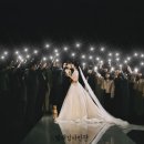 플래쉬컷 이미지