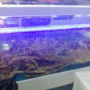 영덕수산시장 이미지