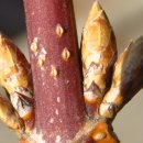 봉서중학교 이미지