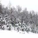 운주목장 이미지