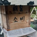 강제채밀군 약군합봉 종자벌만들기 이미지