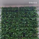 숭의요양원 | 신흥동요양원 축복요양원 신흥동 최고의 요양원