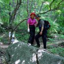 숲속의 통나무집 이미지