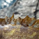 정미네식당 이미지