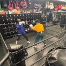 더프리미엄복싱 신정점 이미지