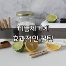 [비듬제거에 효과적인 꿀팁] 이미지