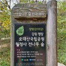 11월 23일(일) 오전 11시 ★월정사전나무숲길&amp;강릉카페거리★ 전나무숲길 산책하고 안목해변 오션뷰 카페에서 바다 보면서 커피 마셔요~ 이미지