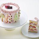 케이크트리(cake tree)