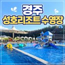 경주 성호리조트 수영장 방문 후기, 운영시간, 기간, 가격 정보