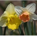 테마공원 화장실 이미지