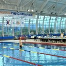 스위밍고 이미지