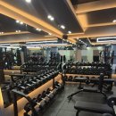 킹덤짐 Daum카페