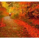 가을향기를 담은 향수 이미지