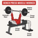 다윗헬스클럽 이미지