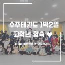 수주태권도장 이미지