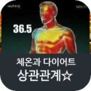 룩스스튜디오