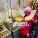 세종시립민속박물관 | 세종 아이와 가볼만한곳 폐교를 활용한 세종시립민속박물관 1월 후기