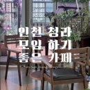 놀러오개 애견유치원 애견호텔 청라신도시점 | 청라 카페/인천 카페 : 모임 하기 좋은 루프탑 브런치 카페&amp;애견 동반 가능한 퍼플패치 카페&amp;브런치 펍