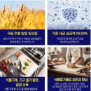 (주)진로발효 | [단독 할인가] 진로발효 뿌리는 소독제, 7% 할인 중인 지금이 찬스! 바이오크린콜 2주 실사용 후기