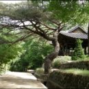 바람고갯길 이미지