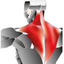 이원행 화접몽한의원 이미지