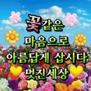 꽃피는계절