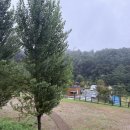 34 | 서울근교 캠핑장, 천왕산 가족캠핑장, 34번 명당 후기, 예약 방법