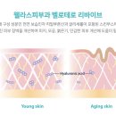 웰피부과의원 | 언주역피부과 리바이브 선택 전 꼭 확인할 3가지