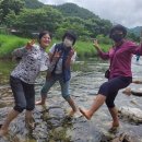 춘양다방 오마이뉴스