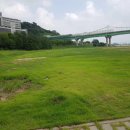 파크골프장(9홀) 이미지