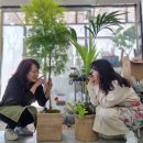 다육화원식물수족관