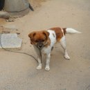 청금식당 이미지