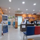 제주가족보건의료원 백일해 주사 제일싸게 맞기 (임산부 백일해 주사 후기)