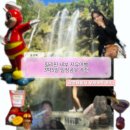 이수은 | 자유여행 일정공유 필리핀 자유여행 일정 추천 경비 총정리 오캐모팩 후기 ❤️ ———— 1,2 일차 일정 🍀