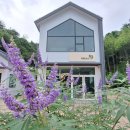 농업회사법인 서진다향(주)