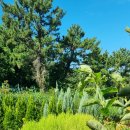 아남농장 이미지