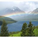 꿈이 있는 곳 이미지